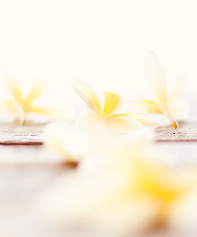 natural vanilla ingredient