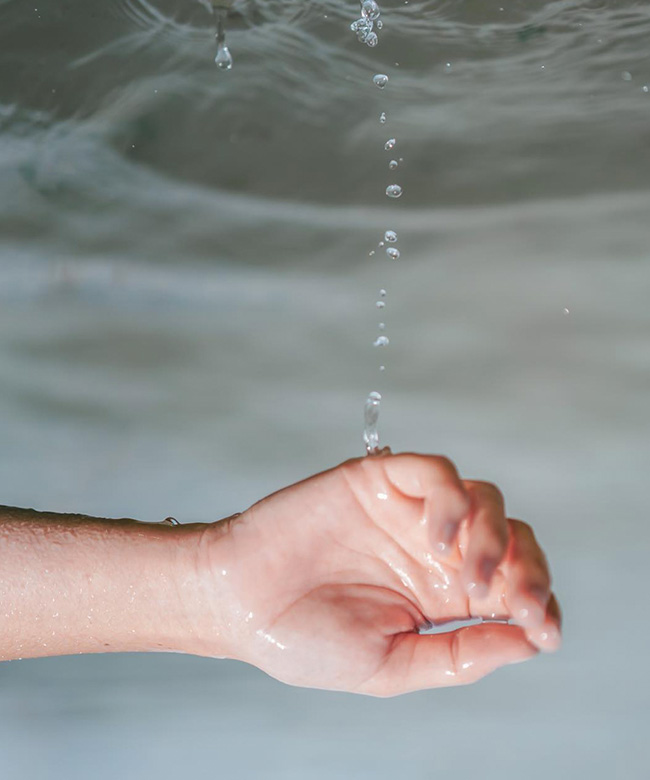 Haeckels organic natural seaweed skincare