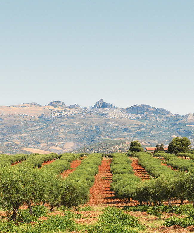 Irene forte sustainable skincare sicily italy