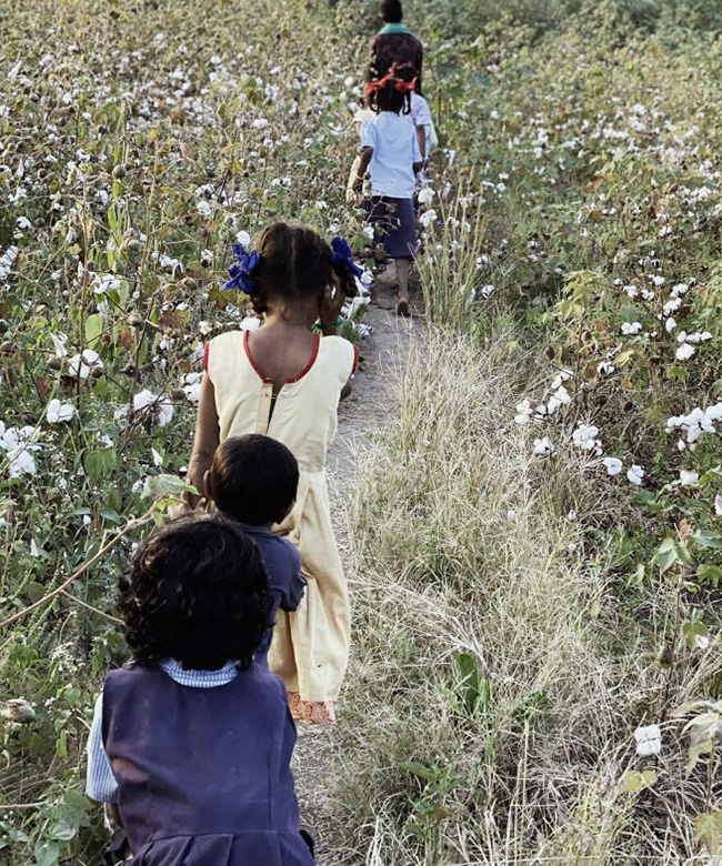 aiayu sustainable organic cotton