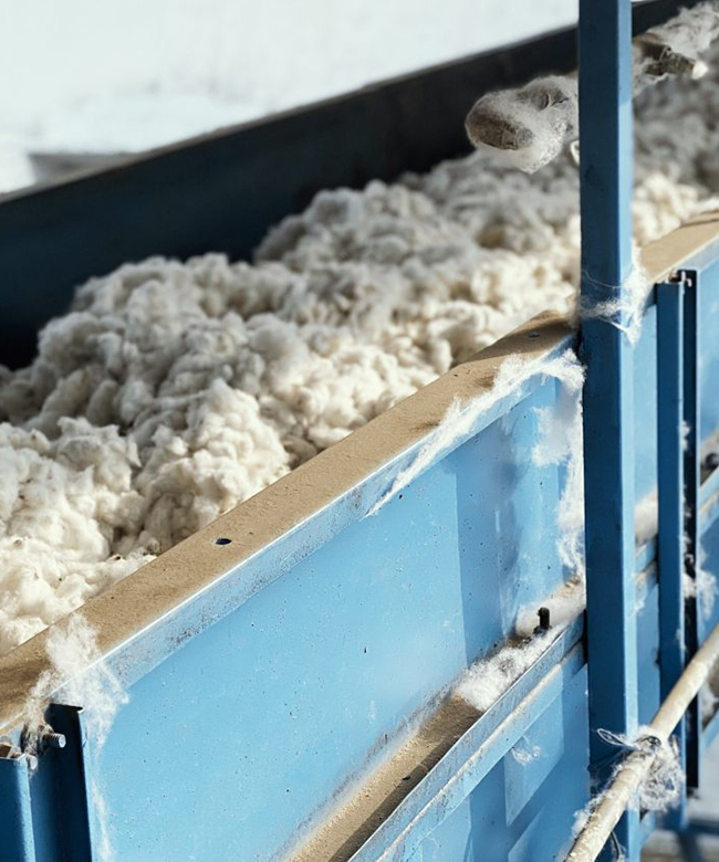 aiayu sustainable organic cotton