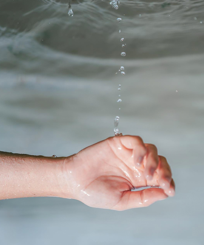 Haeckels organic natural seaweed skincare