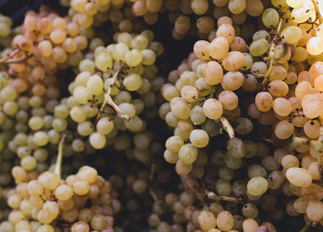 Reve en vert organic wine davenport wines