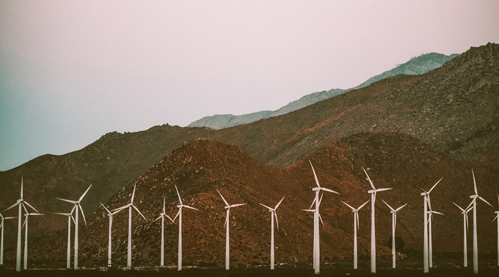 Reve en vert 8 ways to reduce your carbon footprint after lockdown
