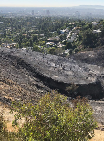 A REV Editor On Living Through The California Fires