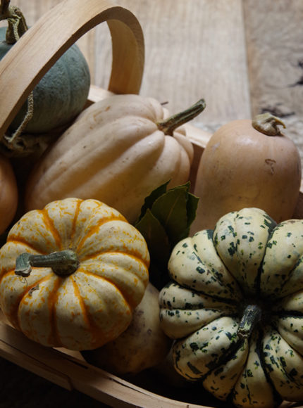Seasonal Recipe Series: Butternut Squash Pasta for October