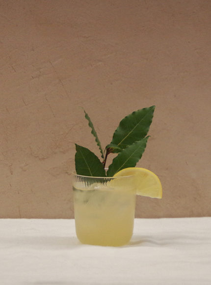 Tree Planting Week: A Holiday Cocktail With Sapling Spirits