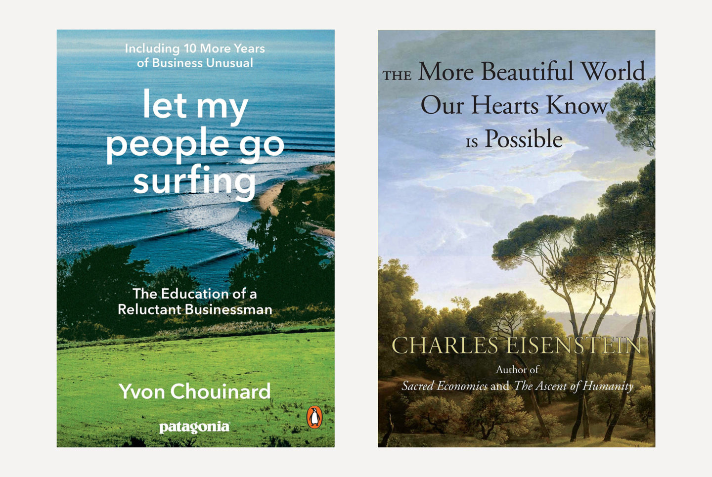Reve en vert sustainable book recommendations