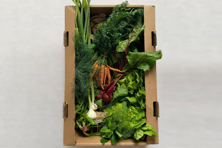 REV Recommends Spring to Go organic biodynamic fresh local fruit and vegetable produce boxes from Fern Verrow farm