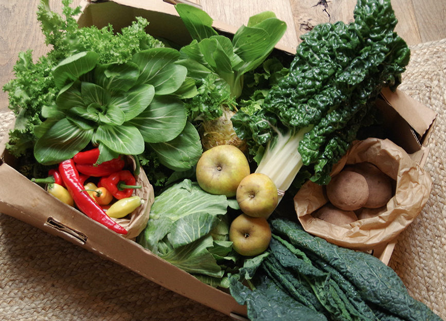 REV Recommends Spring to Go organic biodynamic fresh local fruit and vegetable produce boxes from Fern Verrow farm