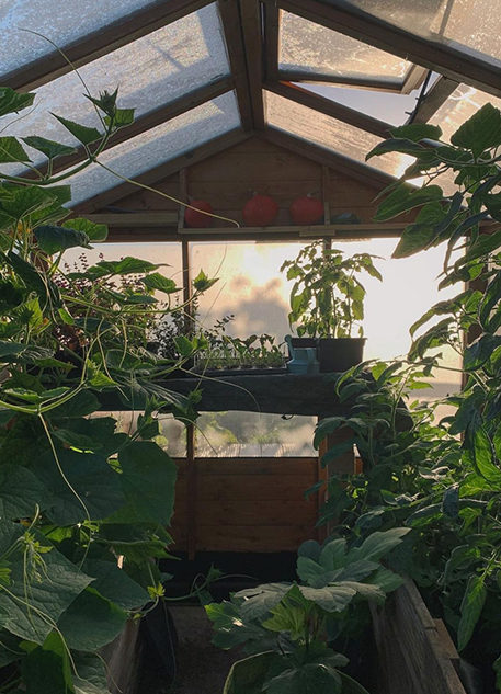 Reve en vert sustainable organic gardening accounts Instagrams to follow