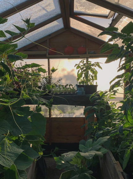 Organic & Sustainable Gardening: Who’s Inspiring Us