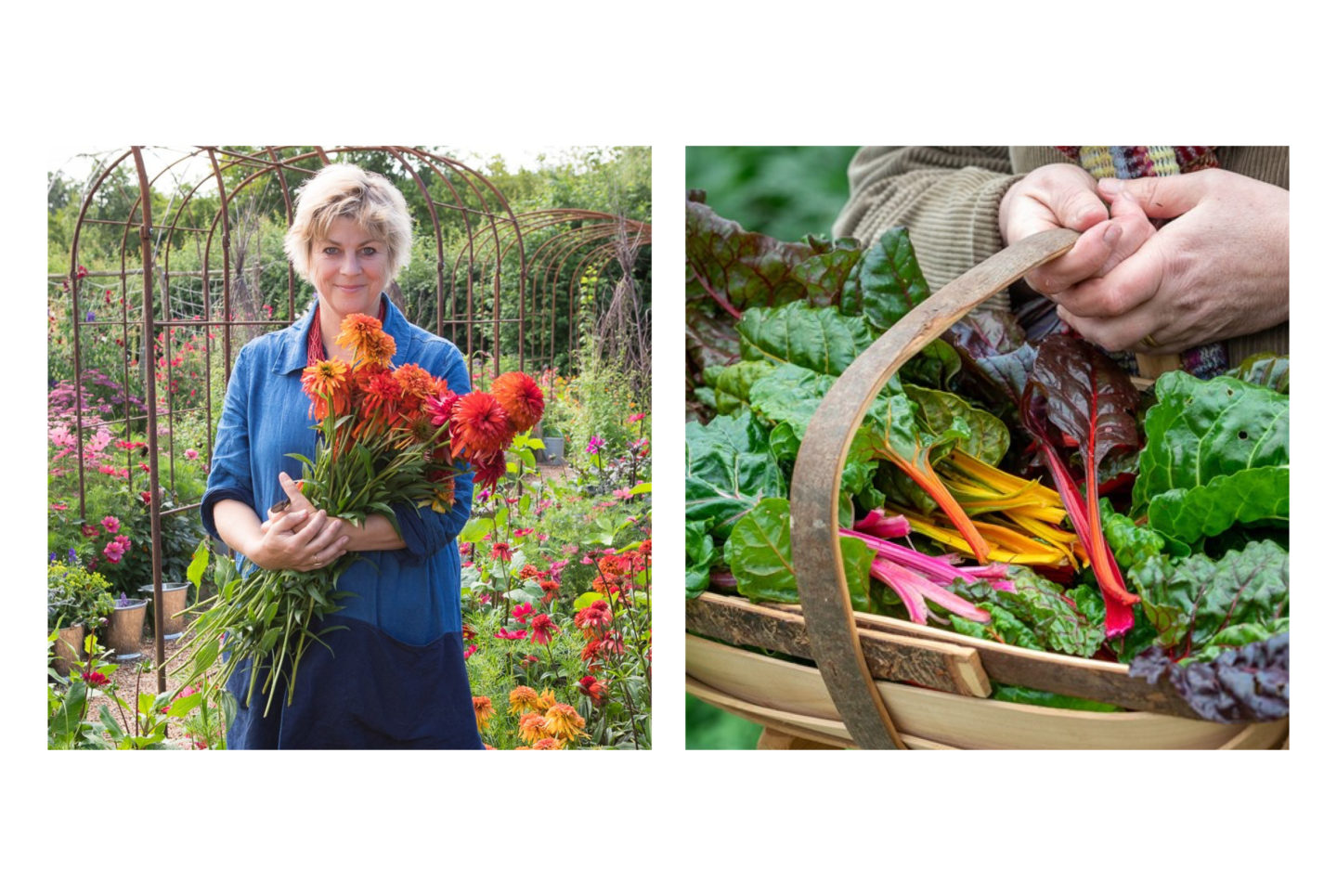 Reve en vert sustainable organic gardening accounts Instagrams to follow
