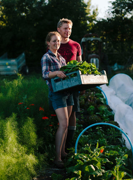 Regenerative Farming & Seasonal Eating with The Modern Kitchen Garden