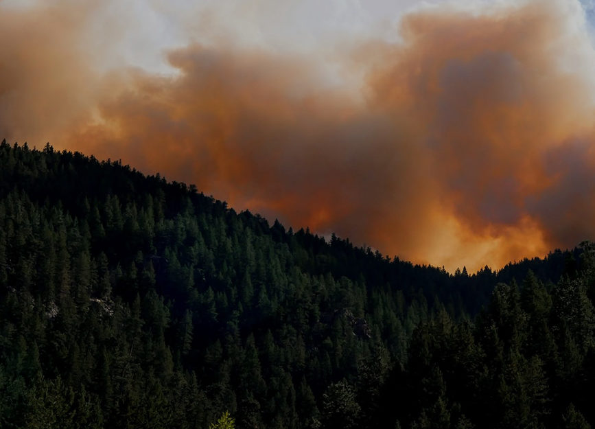 rêve en vert how do wild fires start and how to prevent them