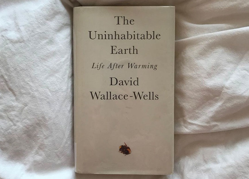 david wallace book-sustainable life with-sustainable day in my life