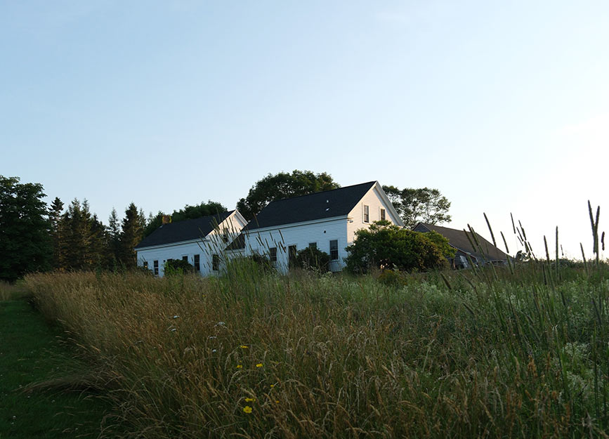 A white Maine farmhouse shot surrounded by meadow