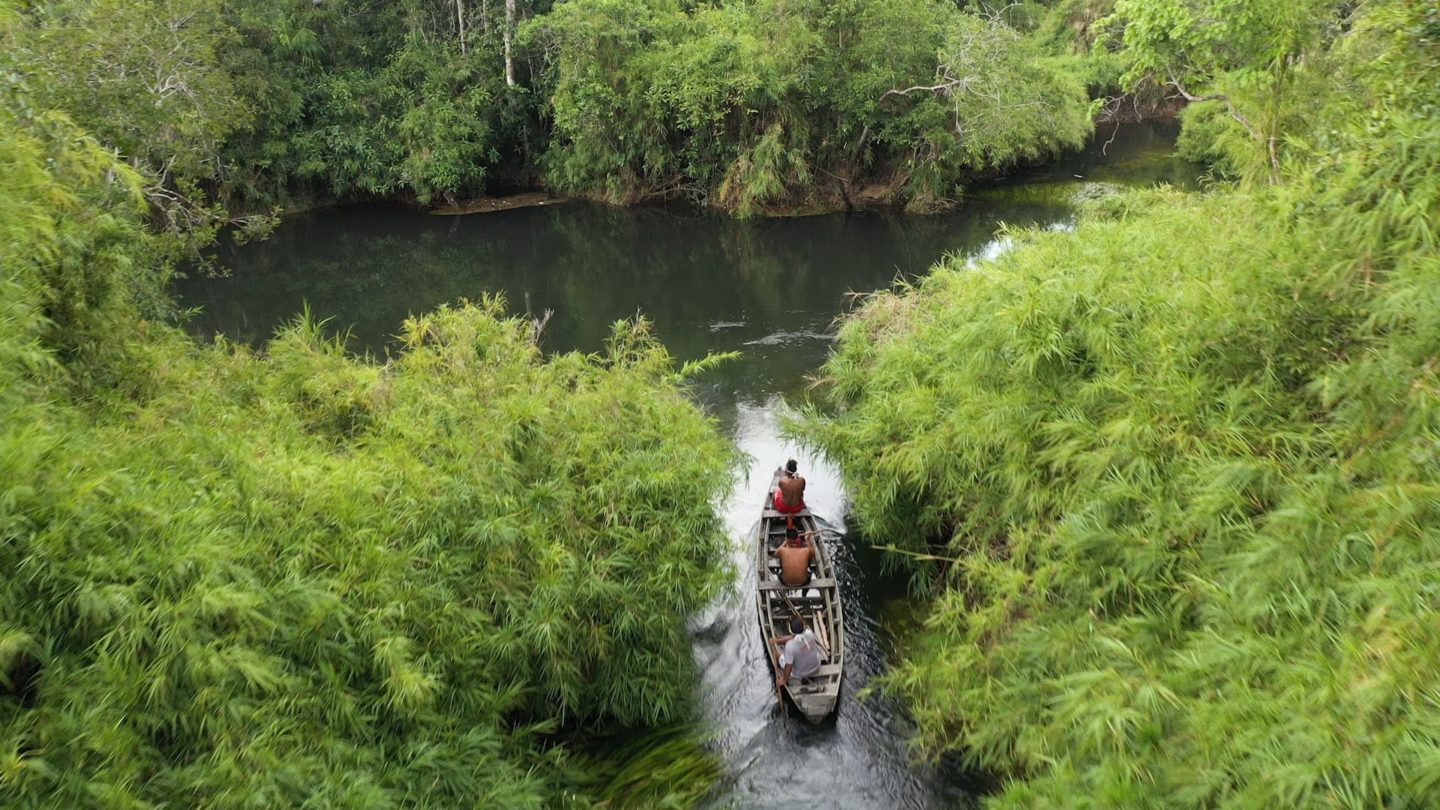amazon-watch-rainforest-boat-on-river