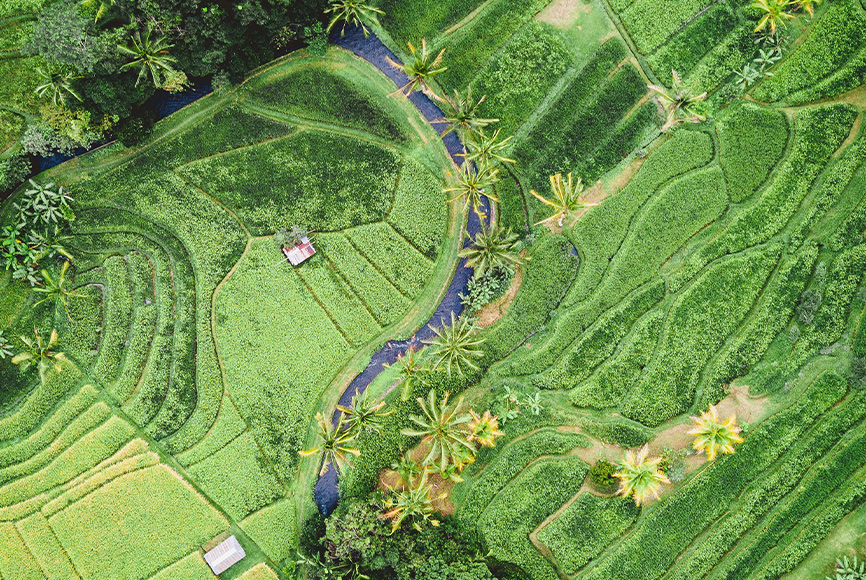 anne-therese-climate-optimist-aerial-shot-field-in-asia