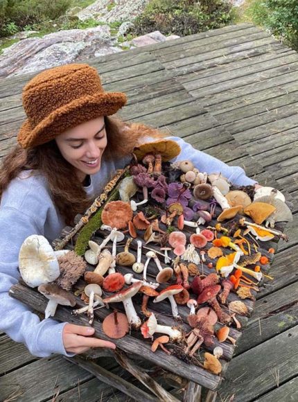 A Sustainable Life With Tonya Papanikolov of Rainbo Mushrooms