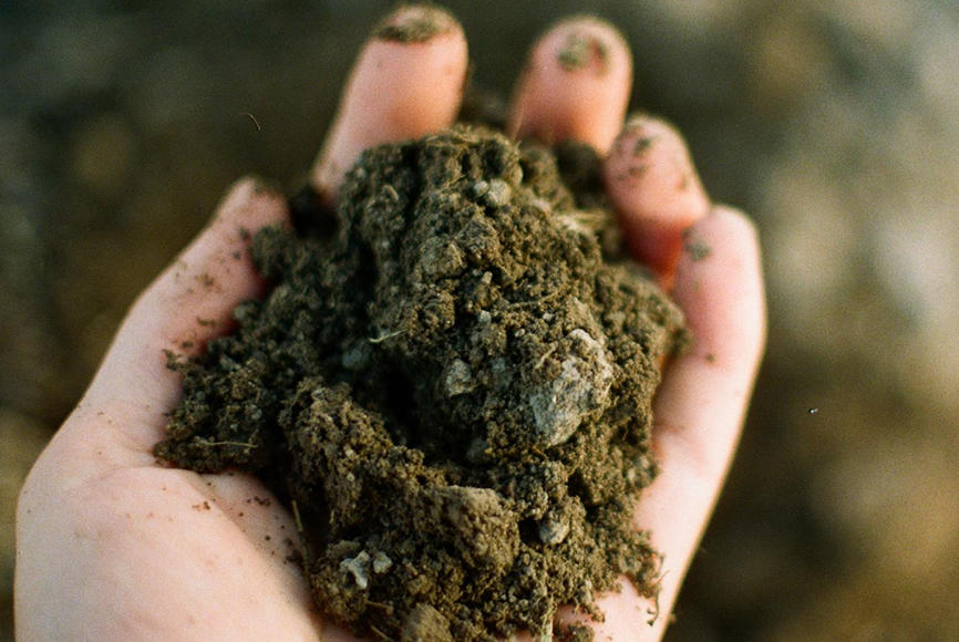 stephen-from-onda-editorial-landscape-image-7-hand-holding-soil-from-onda-hemp-farm