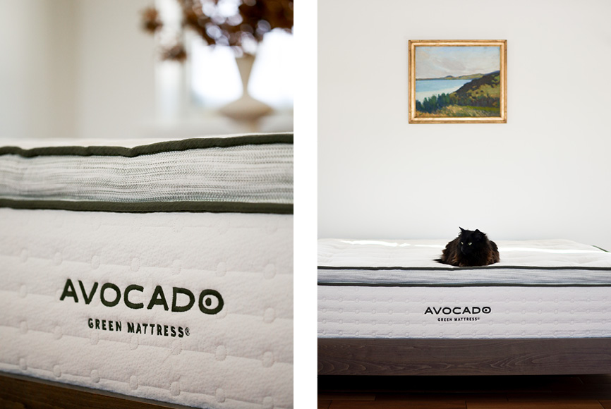 avocado-mattress-maine-house-editorial-landscape-image-mattress-close-up-and-bed-wth-cat-on