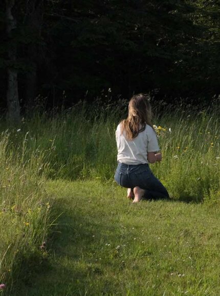 Why and How To Plant a Wildflower Meadow
