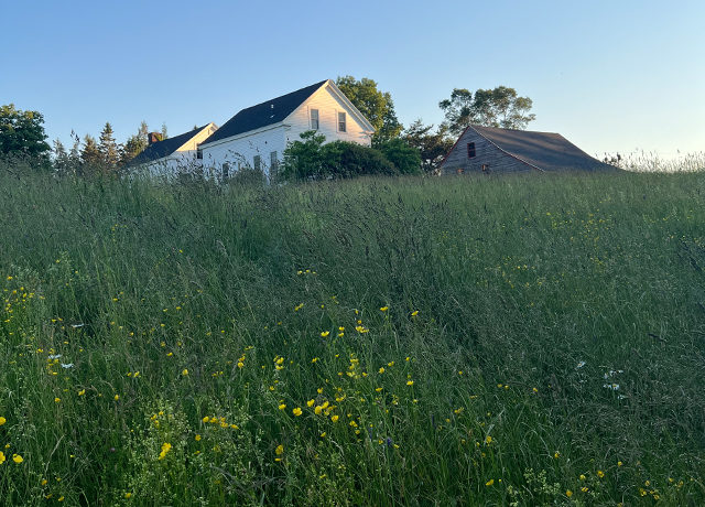 maine-house-meadow-editorial-scroll-image