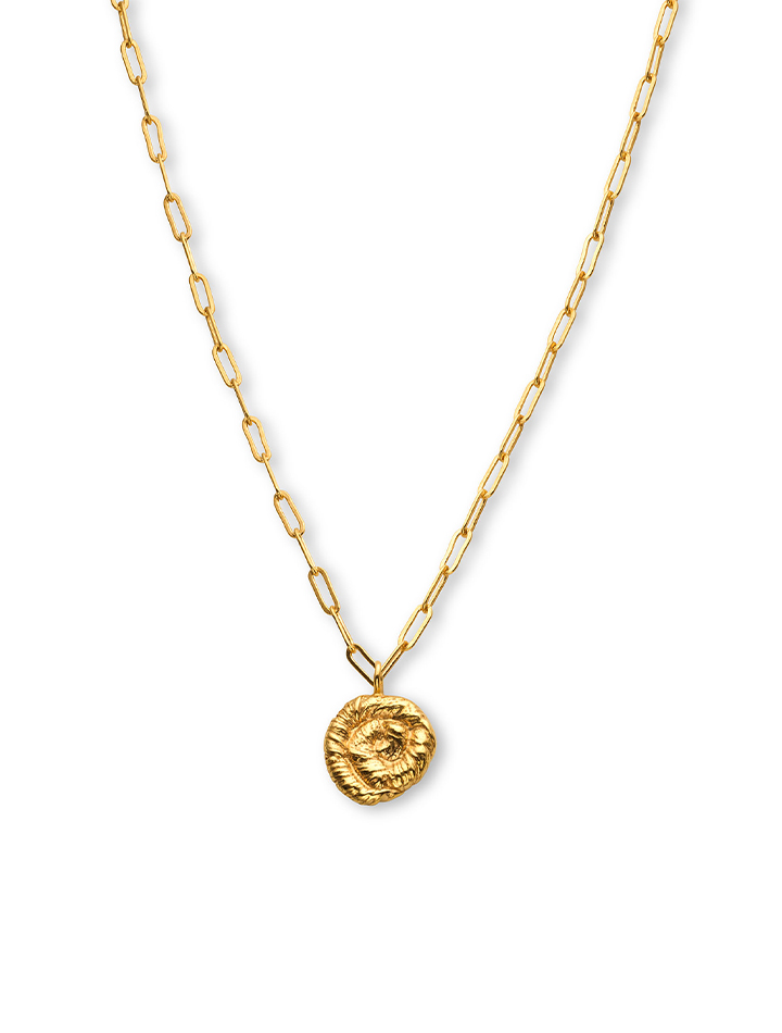 eva-remenyi-jewellery-nautilus-pendant-necklace-in-gold-product-image