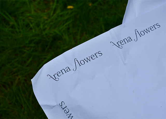 arena-flowers-brand-spotlight-editorial-scroll-image