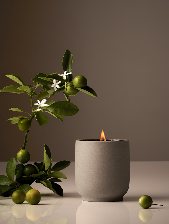 homecourt-candle-in-neroli-leaf-product-image