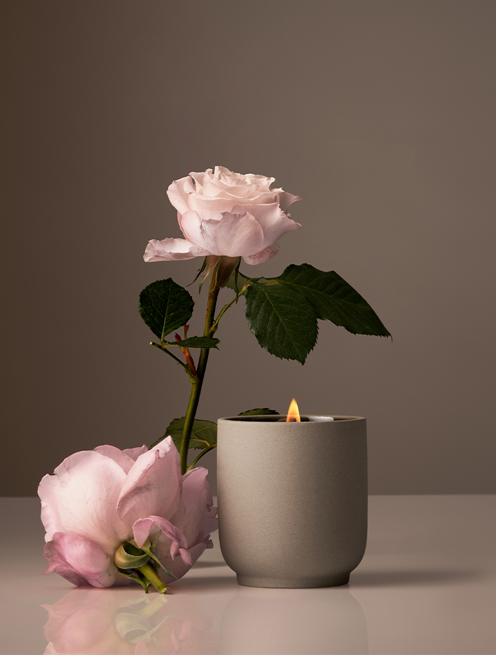 homecourt-candle-in-steeped-rose-product-image