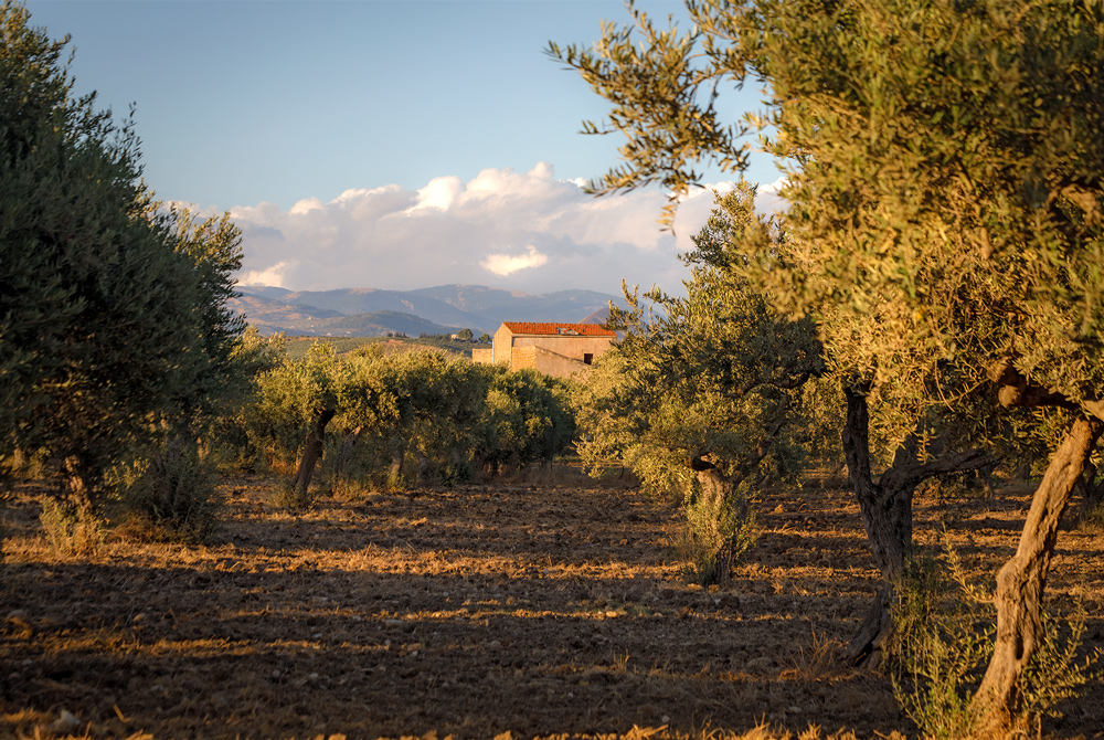 irene-forte-sicily-guide-editorial-landscape-image