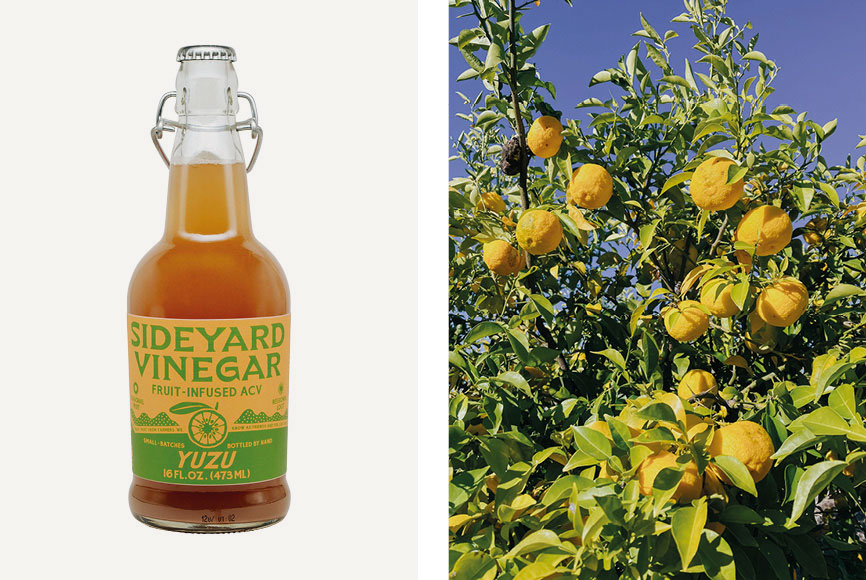 Image of Sideyard Vinegar and organic lemon grove.