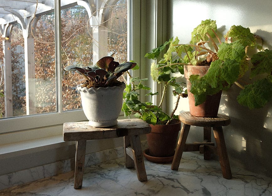 morning sunshine through the kitchen window