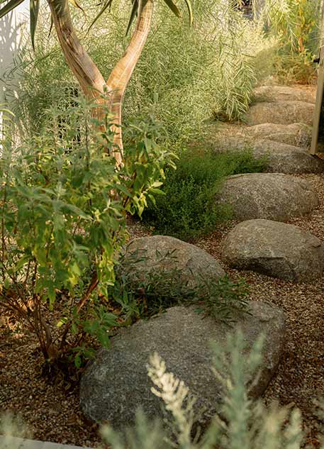 Orca Living landscape design with native plants
