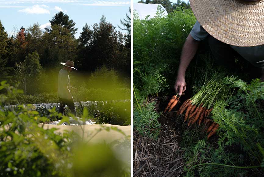 Regenerative organic farming