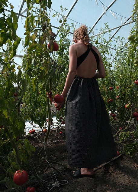 A woman in a black dress picking tomatoes in a greenhouse