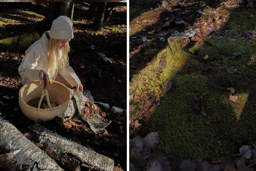A woman gathering moss in a forest
