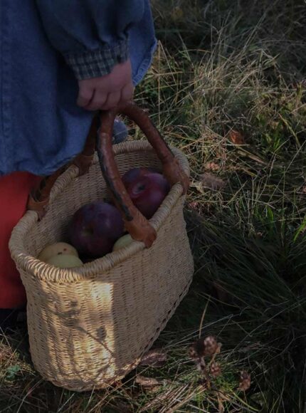 Jordan’s Fall Baking Recipes with Apples