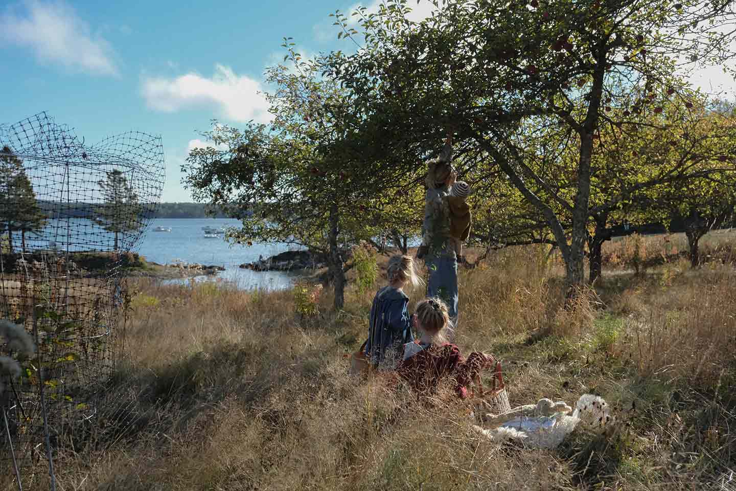A mother picking apples with her three children in an apple orchard
