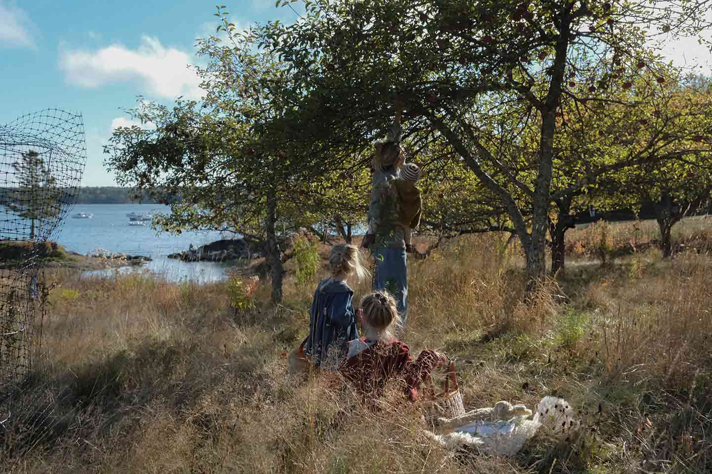 Woman picking apples with her children in a meadow