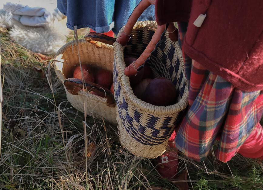 Two children holding baskets of apples in a meadow