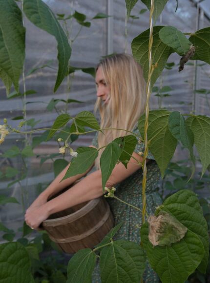 Our Home Cooking Series: How Do You Cook Fresh Green Beans (Plus Recipe!)