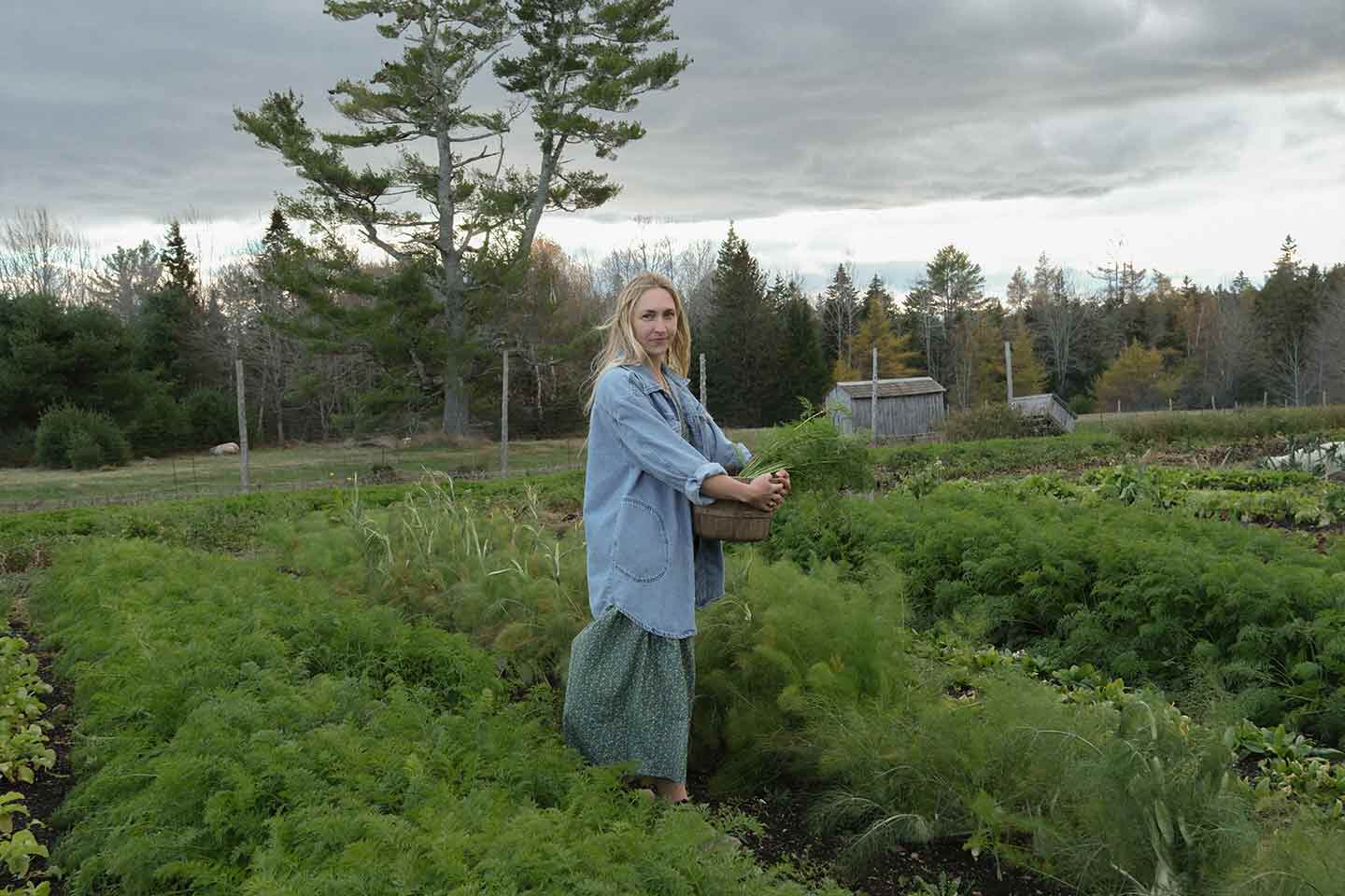 A woman walking through carrots on a farm holding a basket