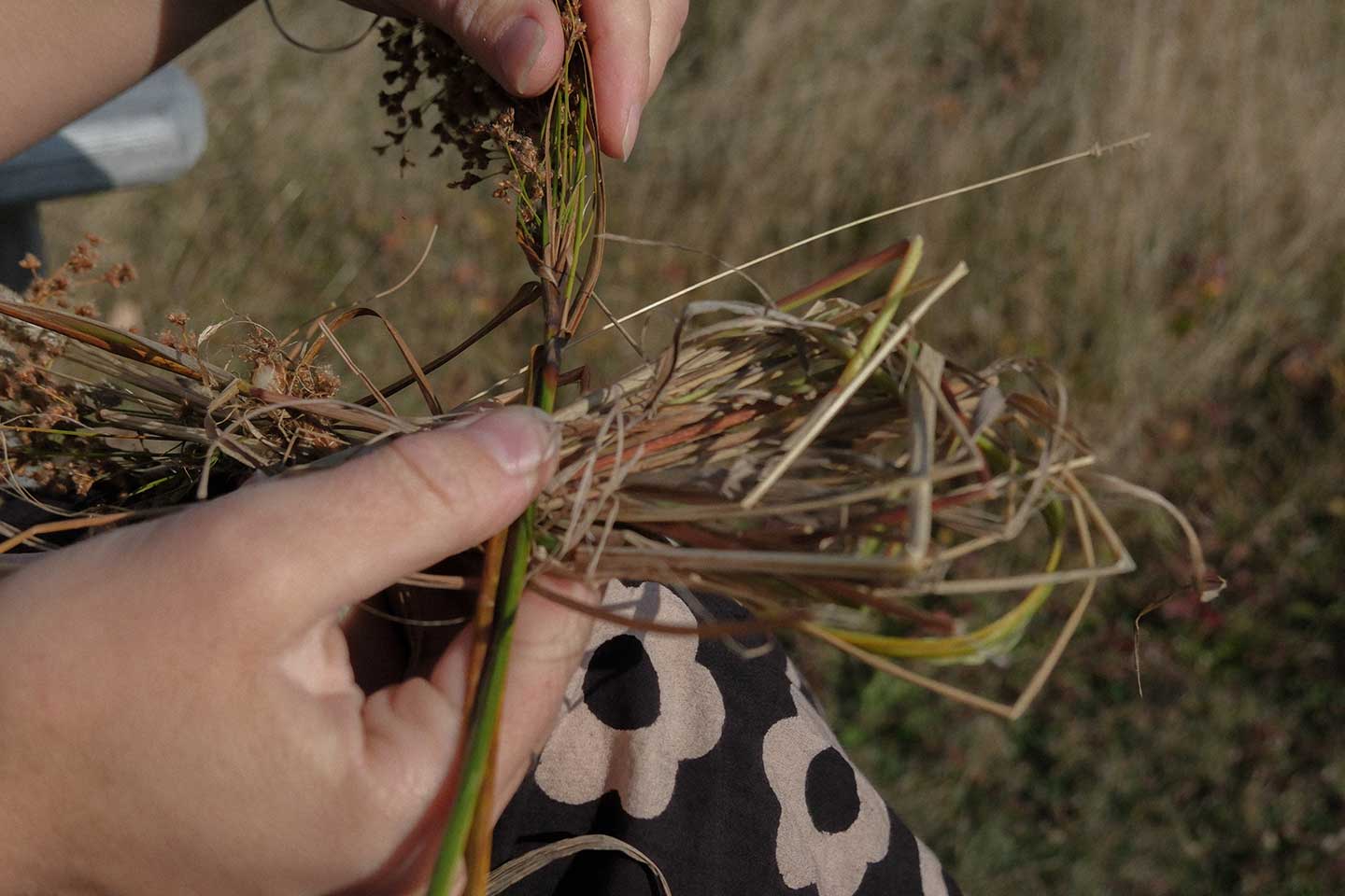 Woman braiding sweetgrass