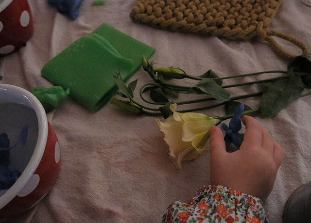 A child's hand playing with cat and a flower