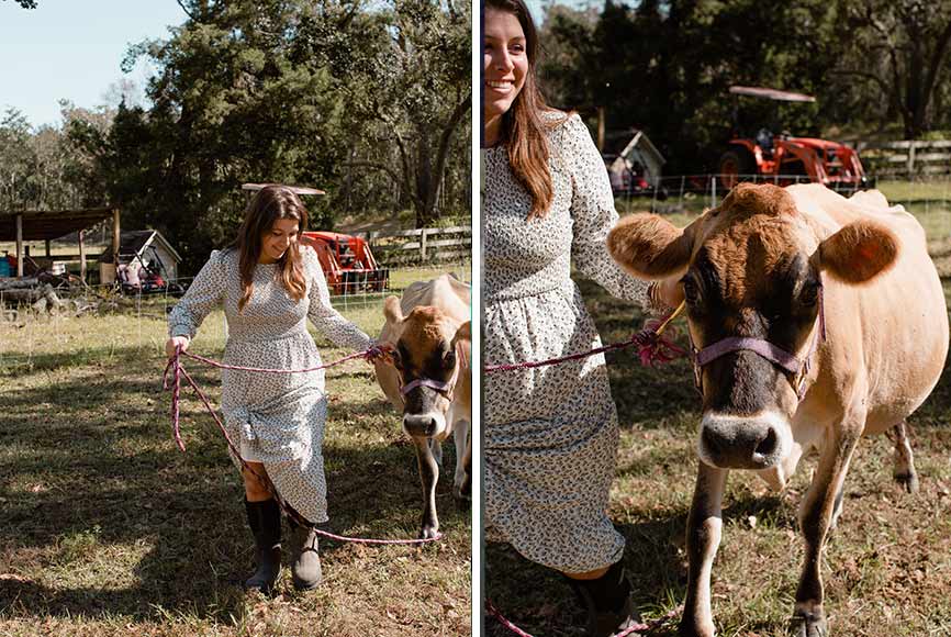 A woman in a flowered dress leading a cow on a farm
