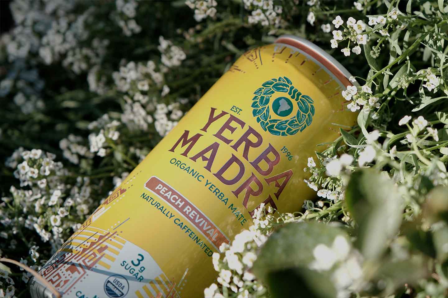 A can of Yerba Madre laying in a bed of white flowers