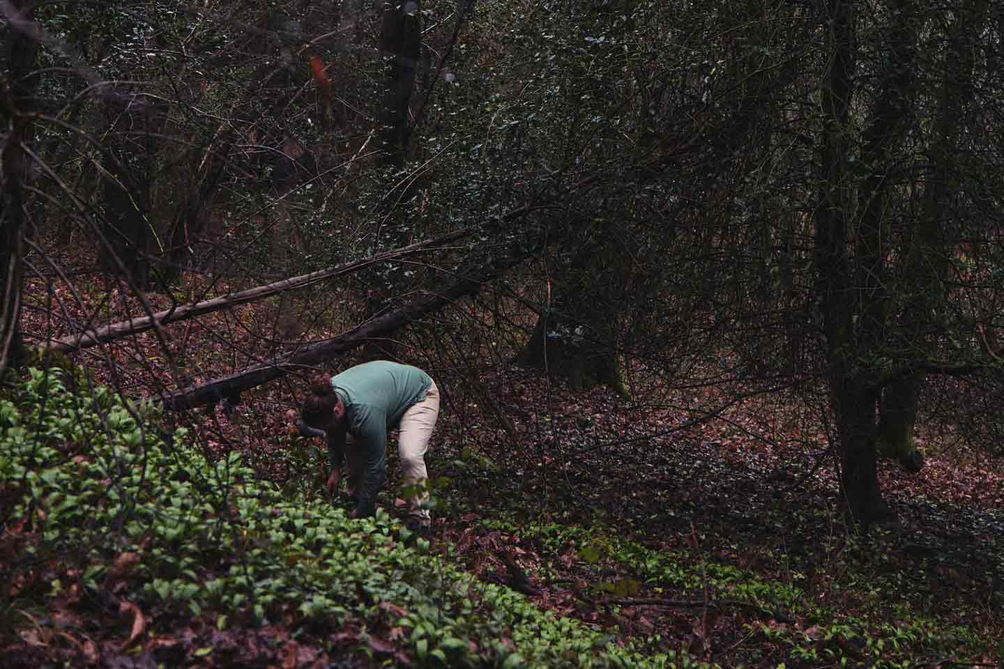 A man foraging in the woods
